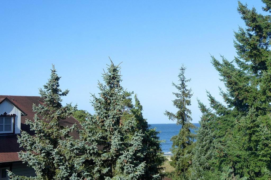 Inselstrand Inselstrand 1320 Heringsdorf  Ngoại thất bức ảnh